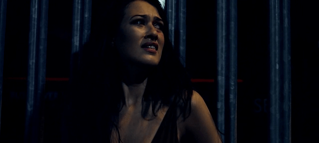 vlcsnap-2016-12-19-23h53m28s566